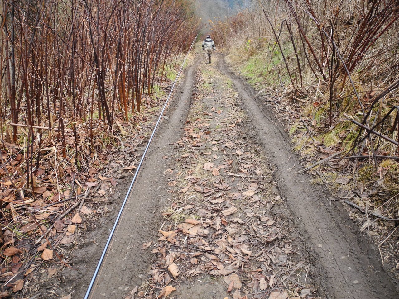 On the way to the river