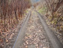 On the way to the river