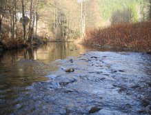 Bit of late afternoon sun