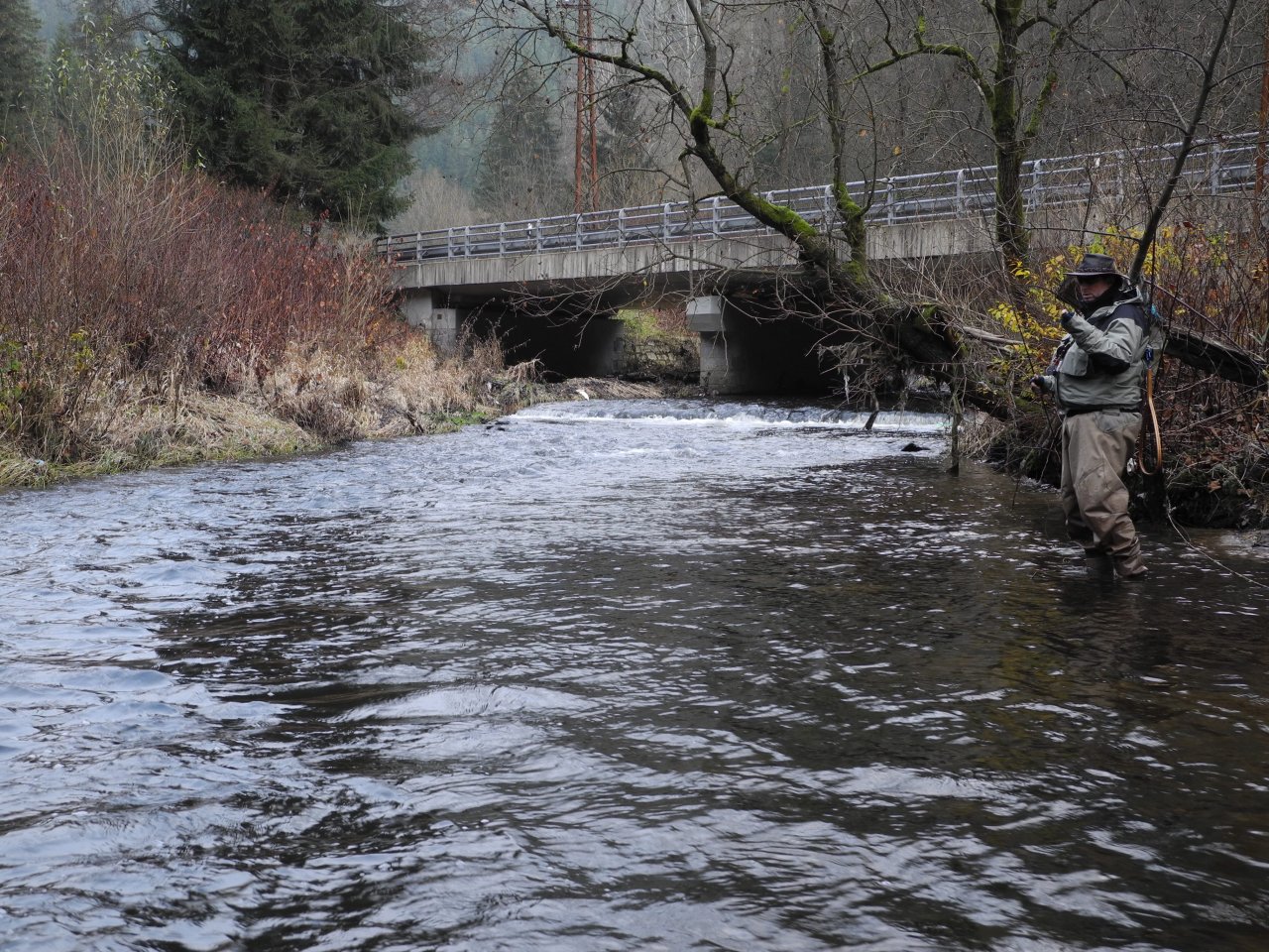 Too cold to continue