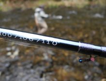 The test of the Blue Killer