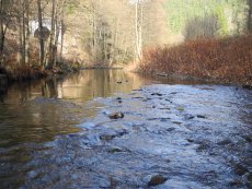 November Fly Fishing  - Svatava river