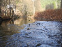 November Fly Fishing - Svatava River