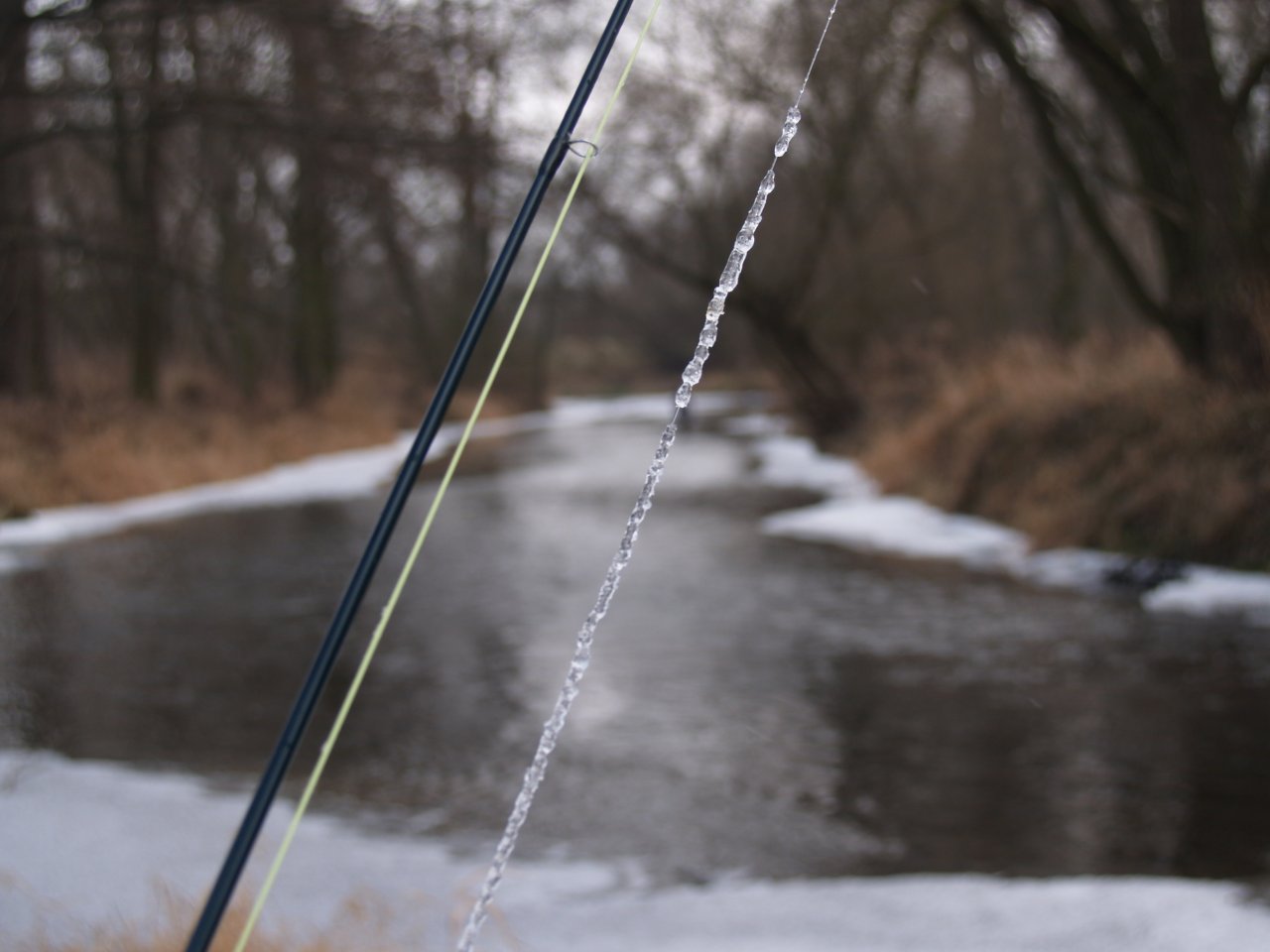 Basic fishing problem