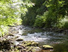 Tepla below Brezova Dam