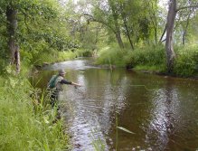 Tepla above Brezova Dam