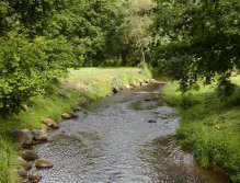 Tepla above Brezova Dam