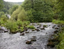 Tepla below Brezova Dam