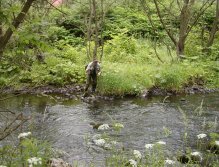 Tepla below Brezova Dam