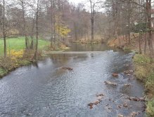 Stretch above the bridge