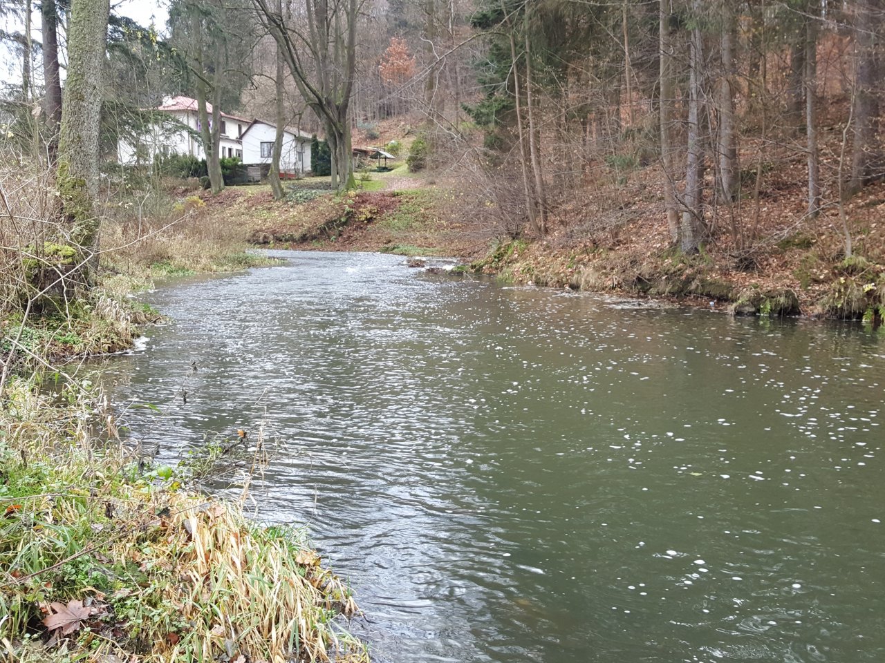 The best pool on Trnava