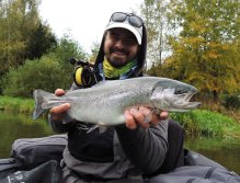 The athletic silver colored rainbow could not resist the small natural imitation of the brown midge pupa.