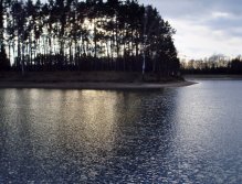 View of the forested peninsula when fishing on shallow part of the lake.