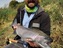 Trophy rainbow from bank fishing while beautiful sunny day at the end of October.