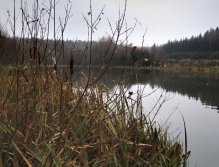 November - The first snowflakes fly over the surface, the air temperature goes down, but the fish are still active!