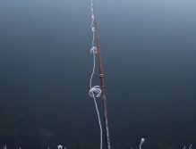 Frosty mornigs are magical, but we do not always appreciate it! Mainly during fishing with frozen fly gear...