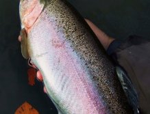 Heavy rainbow is ready to release!