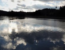 December - Ice on the water surface. The last days for fishing on stillwaters are here and there are not many!