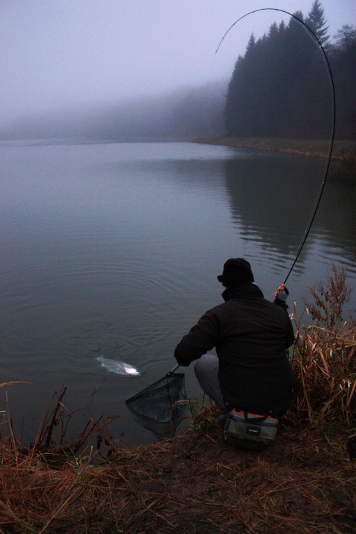 The figh with big winter rainbow is over. The last centimeters to my net!