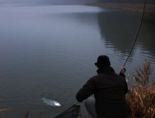 The figh with big winter rainbow is over. The last centimeters to my net!
