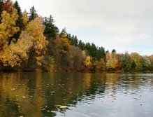Beauty of colorful October nature is all around.