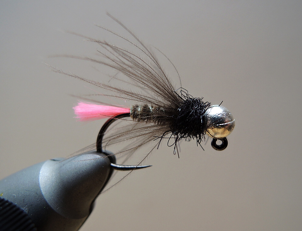 AR Hot Pink Tag Grey Bug