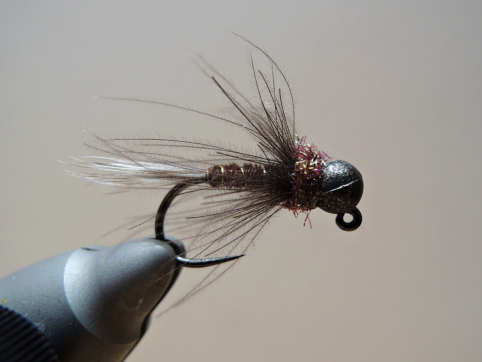 AR Natural Brownie Favorite