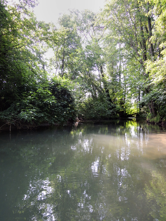 The river is very unpredictable. Shallow currents alternate between deep and mysterious pools. Not to mention the coastal vegetation.