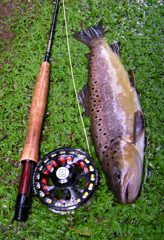 Photo of a nice big brownie from an earlier fishing trip. That was a really good day!