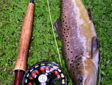 Photo of a nice big brownie from an earlier fishing trip. That was a really good day!