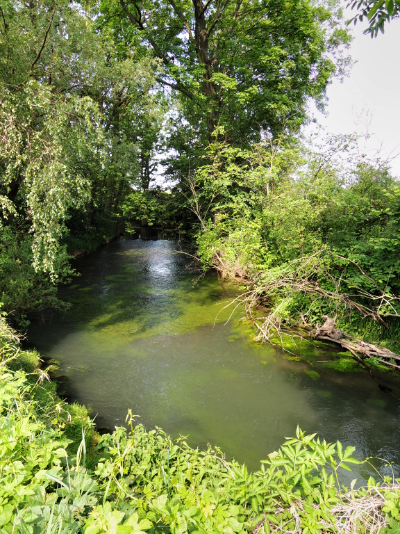 A great part of the river, which is very difficult to fish in this weather because all the fish are waiting in safe for an evening hunt.