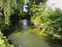 A great part of the river, which is very difficult to fish in this weather because all the fish are waiting in safe for an evening hunt.