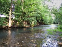 Beautiful part od the river. Nice current for trout and grayling, when the time is right.