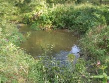 Trnavka near Brezina