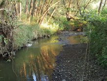 Trnavka - truly small stream