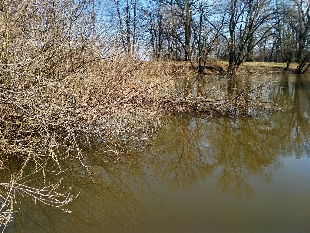 Flooded trees always mean a good and safe fish shelter! If we can get our flies to such places, the fish strike comes very fast and is often from a nice fish!
