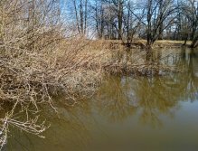 Flooded trees always mean a good and safe fish shelter! If we can get our flies to such places, the fish strike comes very fast and is often from a nice fish!