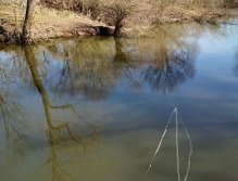 I fish the classic wet method with a floating line and two lighter tungsten nymphs on a thin leader. I like to use a short fly rod of in category # 2, with which I get well and cast in every worse terrain!