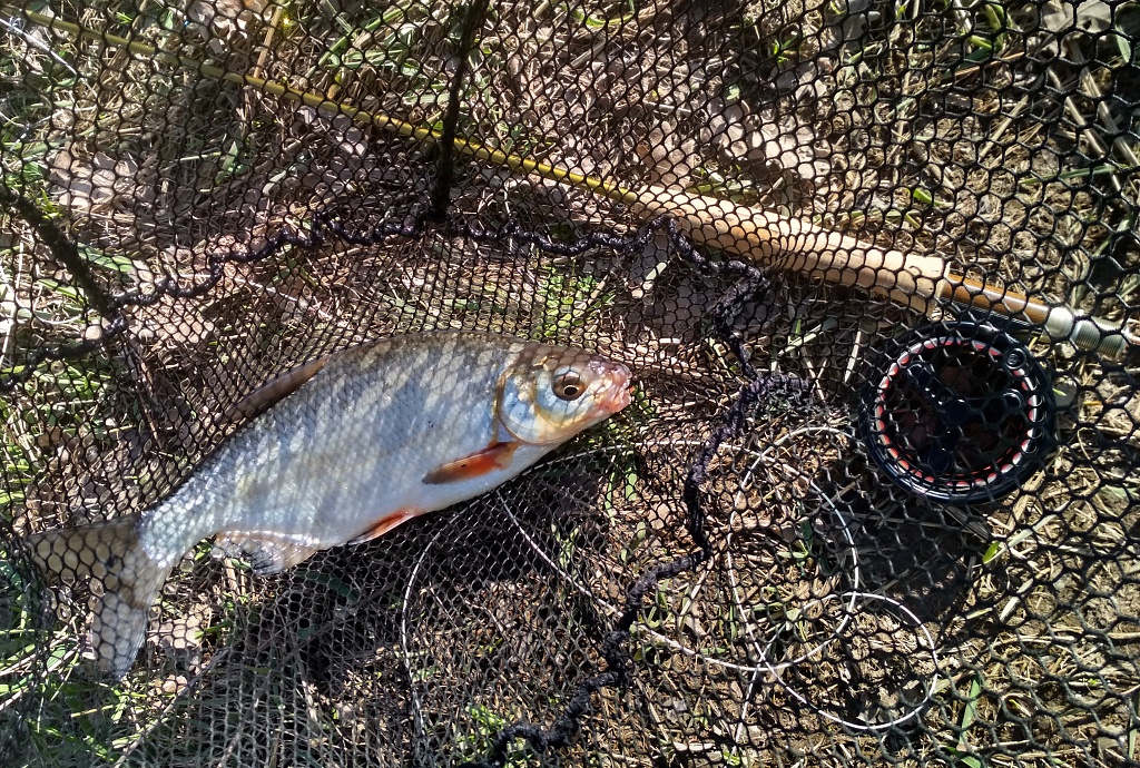 The classic Fish & Gear composition must not be missed. Often the only viable option to make a picture of our catch, if we go to the water alone most of the time!