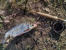 The classic Fish & Gear composition must not be missed. Often the only viable option to make a picture of our catch, if we go to the water alone most of the time!