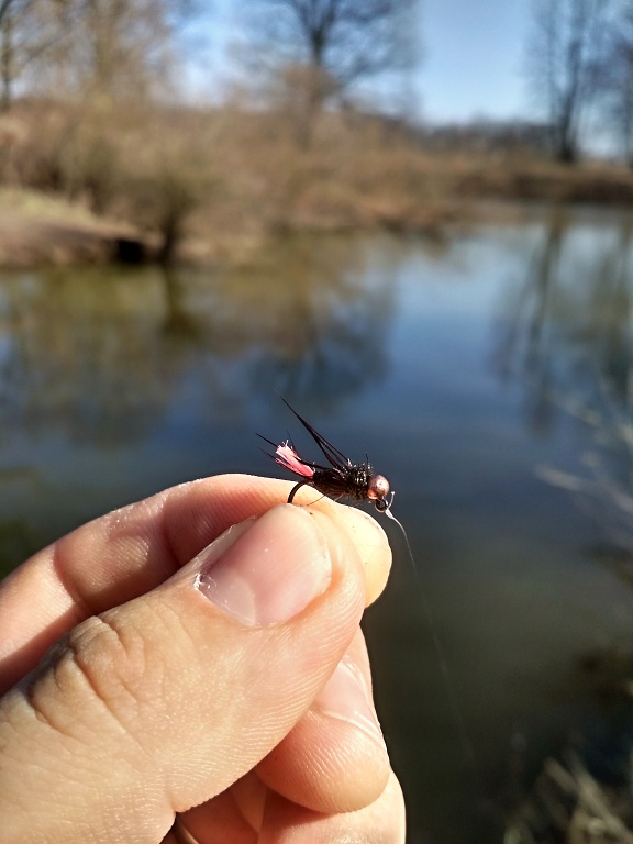 AR Dark Peacock Fluffy Jig - The fly No.1 for this day!