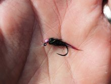 AR Pink Tag Green Peacock Jig. Something between a nymph and a wet fly! However, it is an excellent fly pattern, which I like to use all year long when fishing coarse fish on non-trout waters!