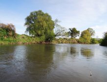 Great place for fly fishing for large chub, asp or bream and other interesting coarse fish. Large rivers are often poorly accessible - so look for rugged and shallower areas with slower secondary currents and slow flowing pools! Fish love such places.