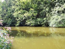 The slightly cloudy and warmed bay does not bode well, but when you notice the shade under the trees, there is always a good place in such weather. Cast loaded nymph or a smaller dark streamer under the overhang branches and be persistent!