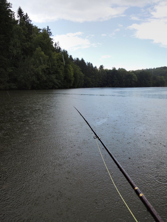 A summer showers are always welcome. Changing weather often awakens apathetic fish, as it often changes conditions that can have a positive effect on fish activity. Or not, but it must always be counted during summer fishing on the lake! ;-)