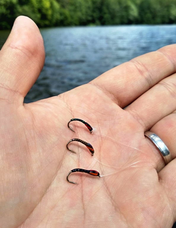 As the wind blows and tiny ripples begin, it is a perfect time for a floating or hover line with a collection of 3 dark buzzers on a long leader. The static method, where flies are drifted by the wind through the water column, is also a successful method.