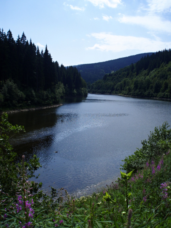 The higher the better! Not within the air temperature but within the altitude. Unfortunately, in our country (The Czech Republic) there are only a few higher-lying dams where we can catch trout. Not that there were really few of them, but...
