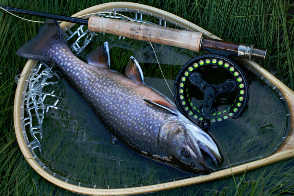 Evening brook caught on a black wet fly near the shore in a forest lake. Summer evenings are magical on still water. Don't cast unnecessarily far. Wait for the time when the fish will become active and the all-day "zero" will be forgotten at the moment.