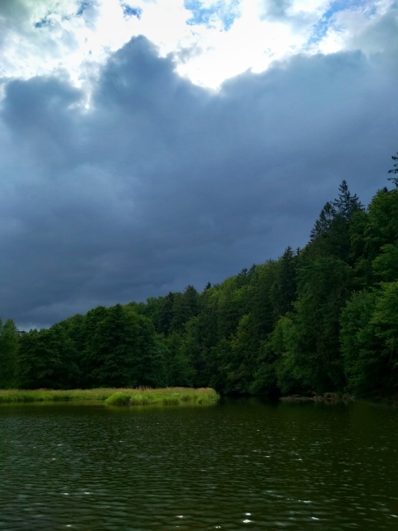 The storm is coming. The question is: It will bring a positive or negative change? If you run away, you will never find out its consequences for the fish. For thunder, be in safe, but go fishing right after the storm. Often it is the most valuable moment!