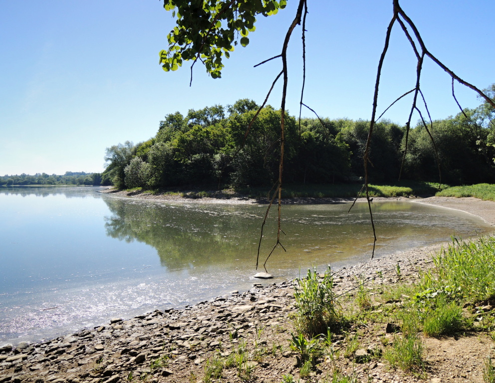 A hot sunny day, a shallow bay with plenty of mud sediment that has peeled from the bottom and the gases have brought it to the surface. For some, absolutely unsuitable conditions, but even in such places can catch a nice fish with a bit of perseverance.